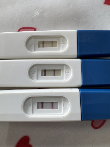 Progression line…