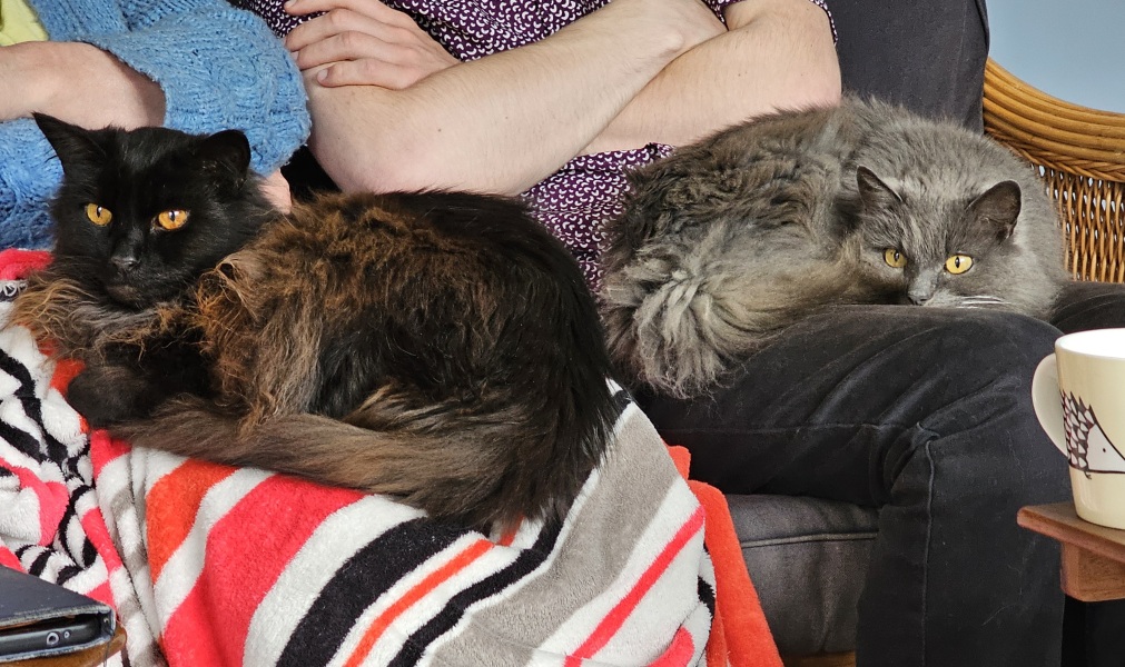 Hymns in Minor Keys & the Russian Easter Overture - the Excellent Cats ignore Culture.....