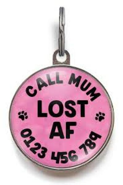 What should I put on my new tag for my dog?