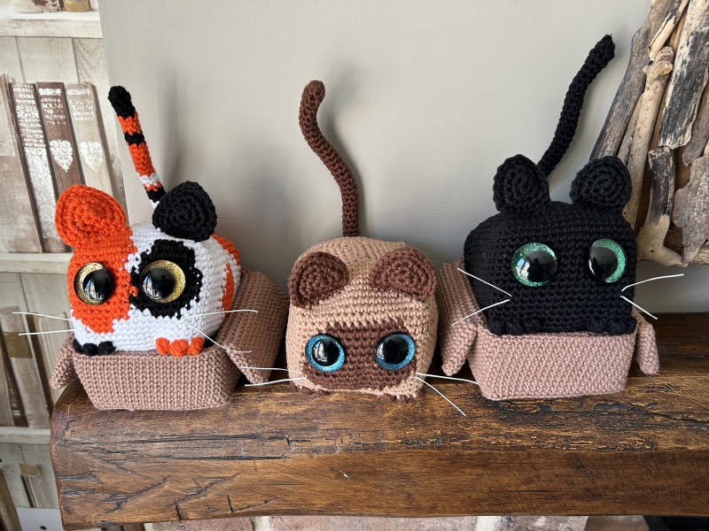I don’t know which cat to gift my friend!