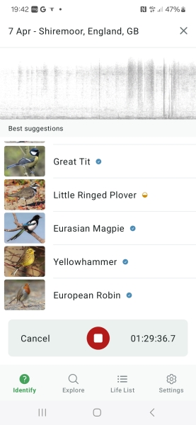 The Year Round Nigel Slater Discussion thread
