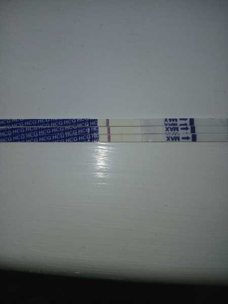 Implantation bleed??