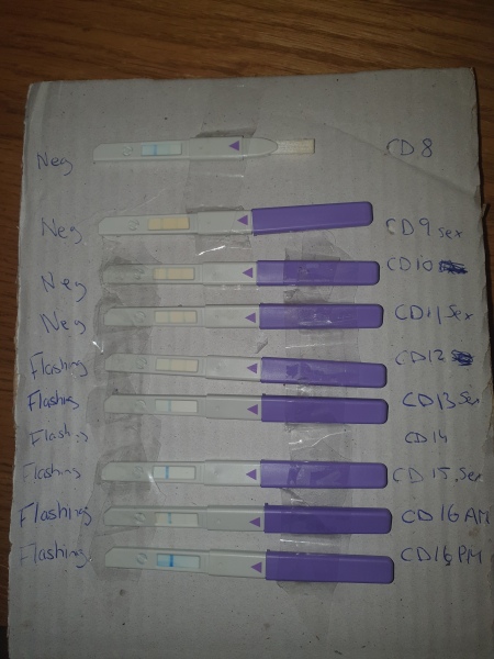 Ovulating after misscarriage