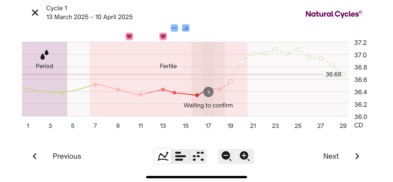 Does this look like I’ve not ovulated?