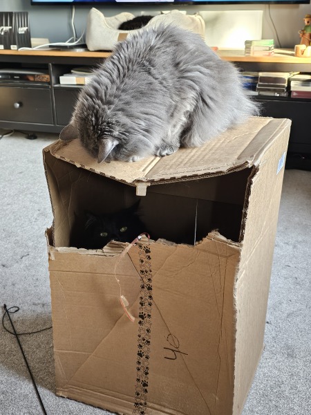 Hymns in Minor Keys & the Russian Easter Overture - the Excellent Cats ignore Culture.....