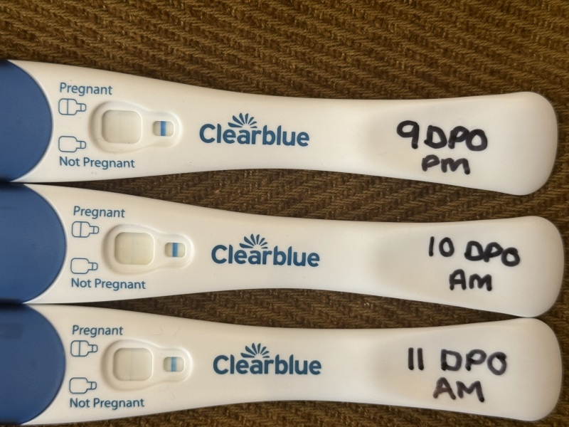 Pregnancy test worries - advice grateful received!!