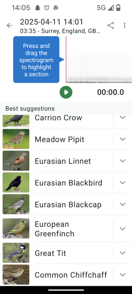 Garden birds today according to my Merlin app