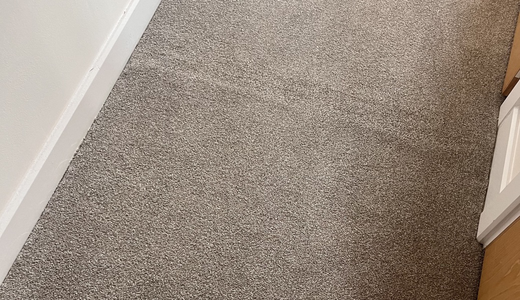 Carpet issues