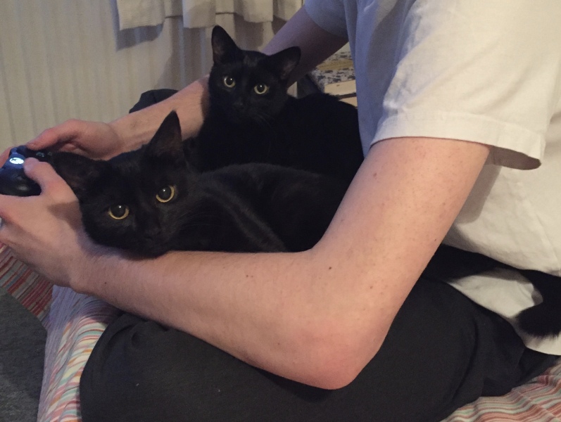 Thread 22 Starmer - Running up to local elections