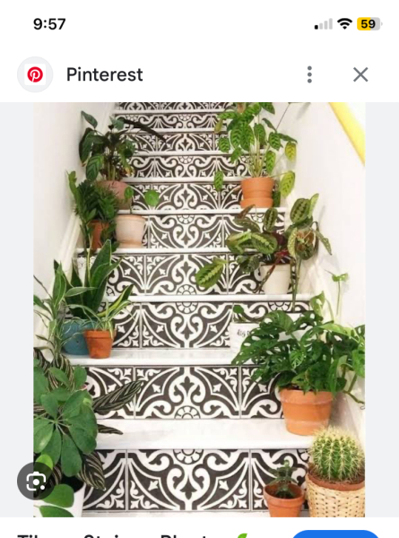 How to make my flat feel like home on a budget