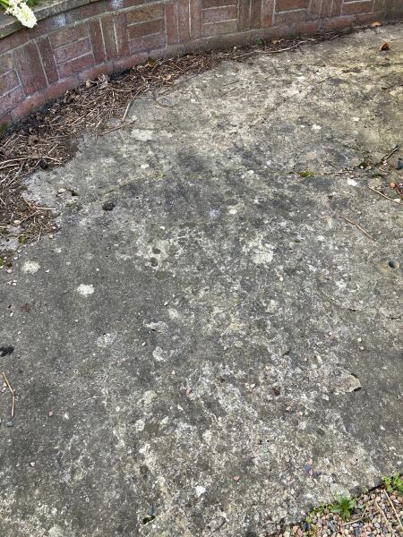 What can I do about this floor? (Pic attached)