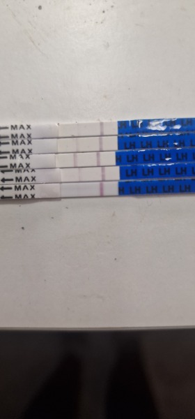 Ovulation test
