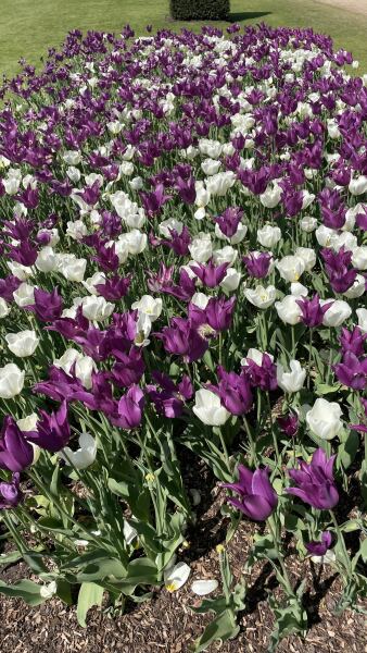 Any Witches Here? Part 21