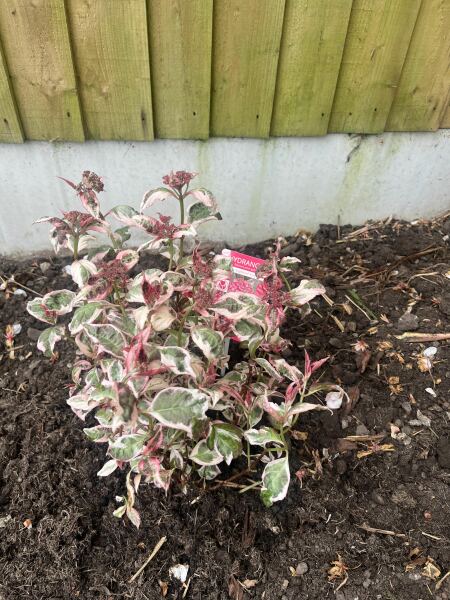 Show me your borders!!