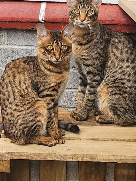 Mounjuro Auggies Thread 13