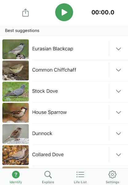 Garden birds today according to my Merlin app