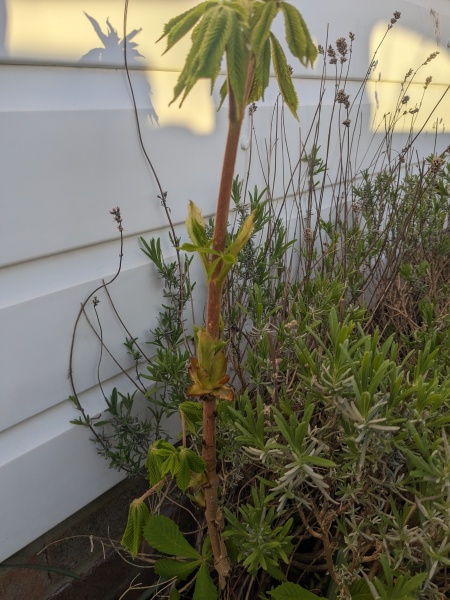 What is this?