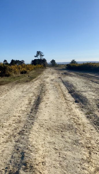 Thread 17 - TalkLair: "Okay, first of all, what's with the outfit? Live in the now, okay? You look like DeBarge."