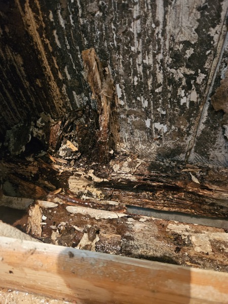 Let down by solicitor