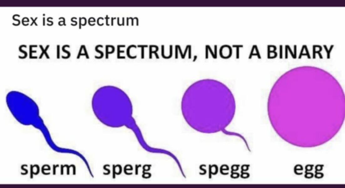 A spectrum of stupidity
