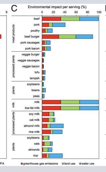 Which non dairy milk do you use?