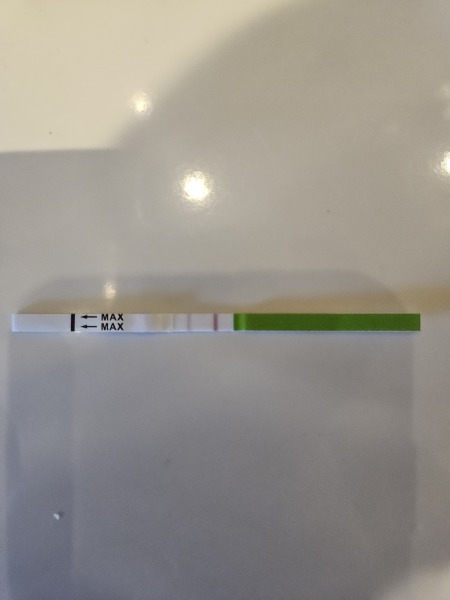 April 2025 TTC Support Group