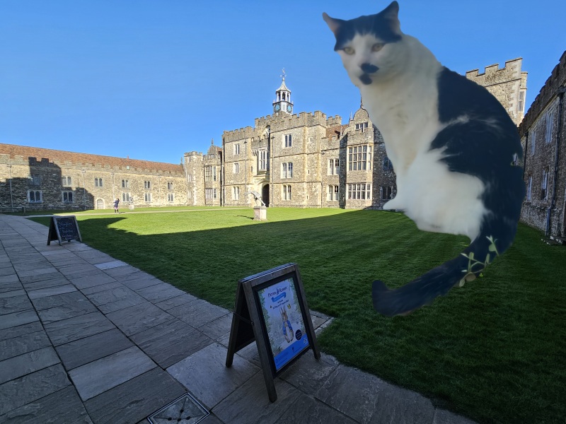 Hymns in Minor Keys & the Russian Easter Overture - the Excellent Cats ignore Culture.....