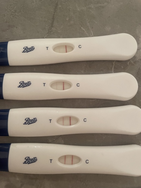 Pregnant or not?