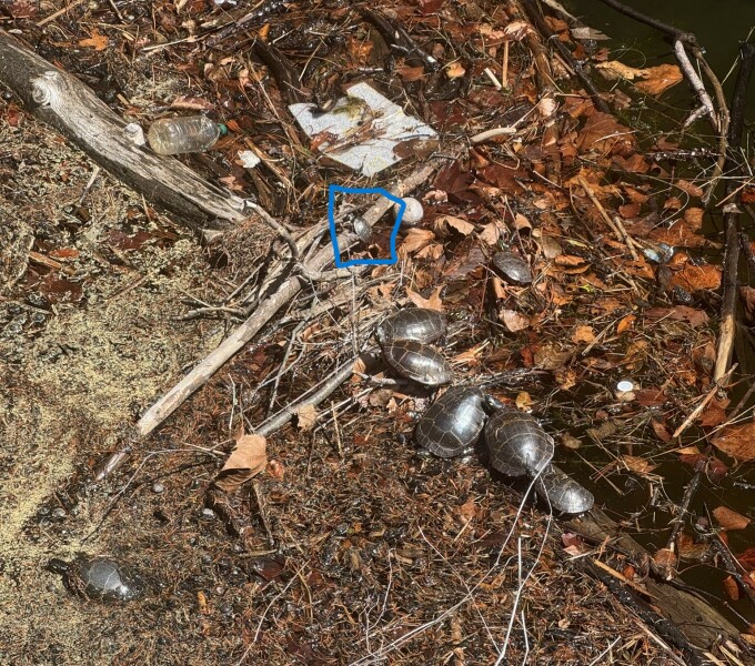 Come and tell us your dull and unexciting news 33: Calmly through the day