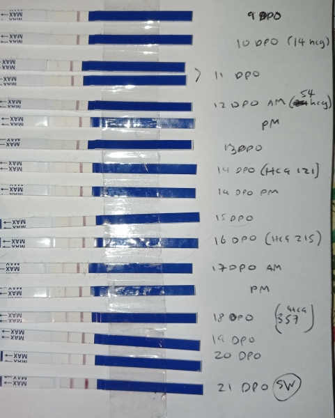 HCG rising but not doubling. Another miscarriage?