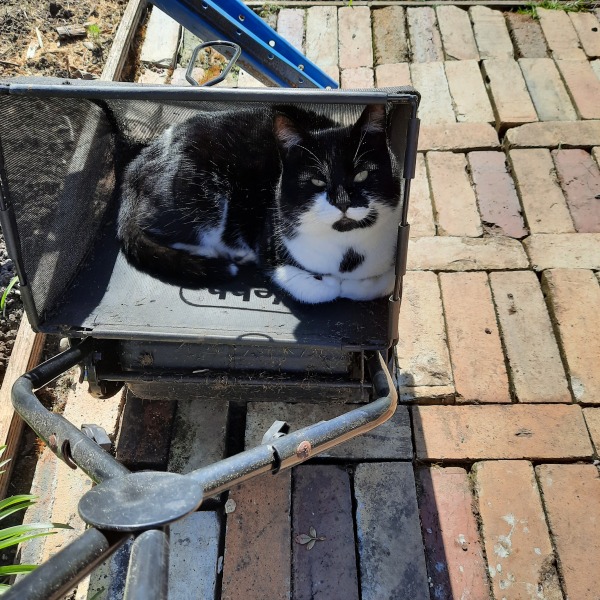 The Garden helper