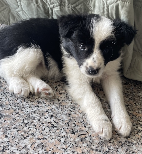 Name Ideas please.