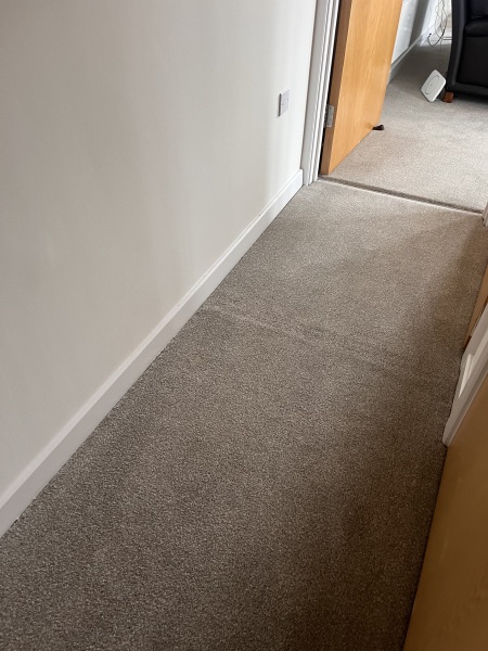 Carpet issues