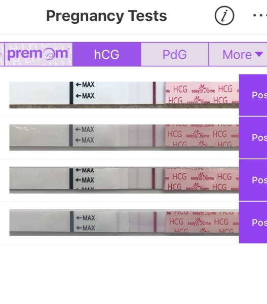 April 2025 TTC Support Group