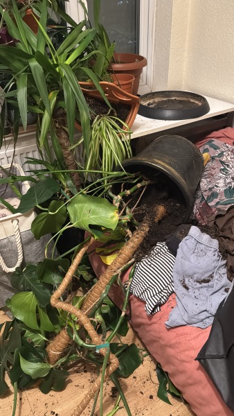 How can I support my dear friend without drowning myself?