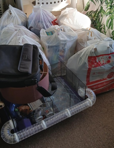 Is anyone just starting to declutter? Or hasn't yet.