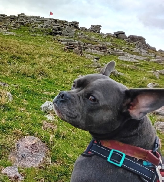 The support thread for anyone trying to live an alcohol free life. Spring 2025.