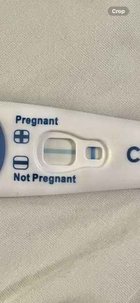 10dpo does anybody see it? X