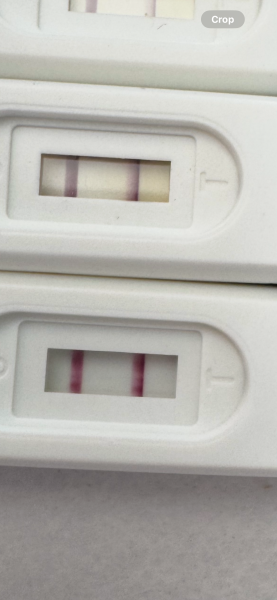 Progression line…