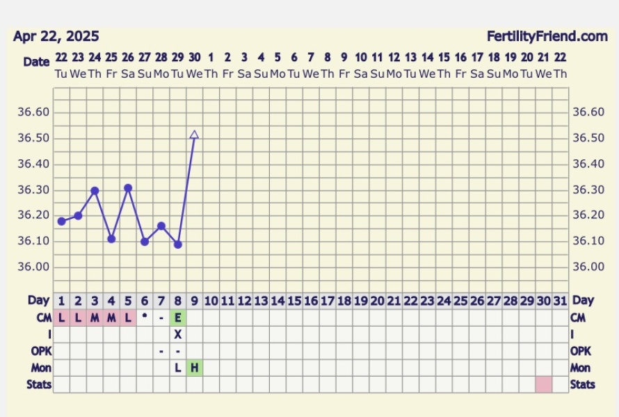 Can you ovulate on cycle day 8?
