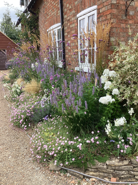 Show me your borders!!