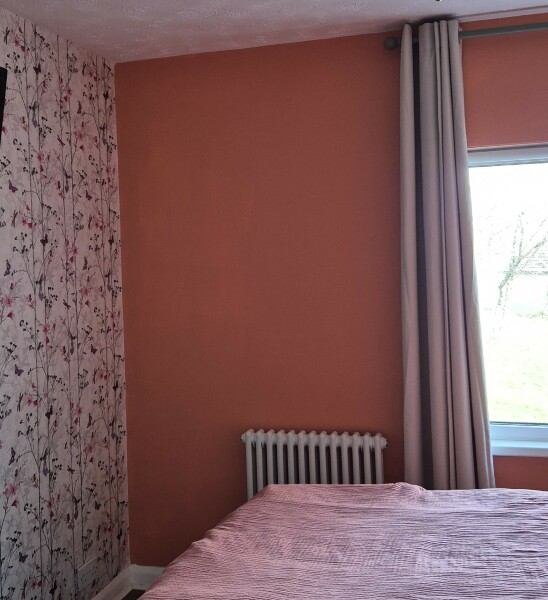 Which paint? Help!