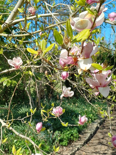 Which gardens do you like to visit to get inspiration?