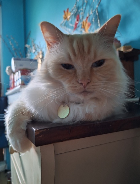 The Year Round Nigel Slater Discussion thread