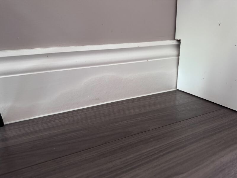Is this damp?