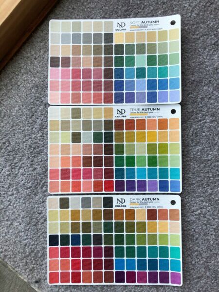 Can anyone help me with an outfit colour problem? re Mother of Groom
