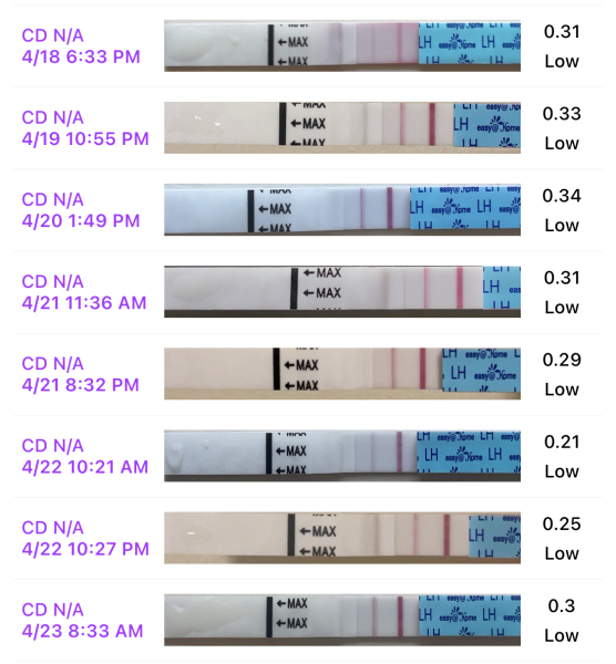 May 2025 TTC Support Group