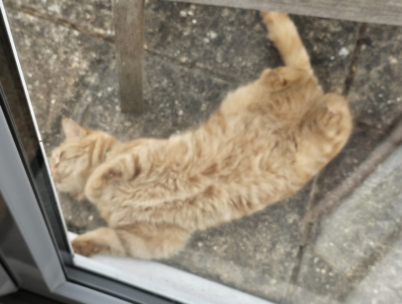 Hymns in Minor Keys & the Russian Easter Overture - the Excellent Cats ignore Culture.....