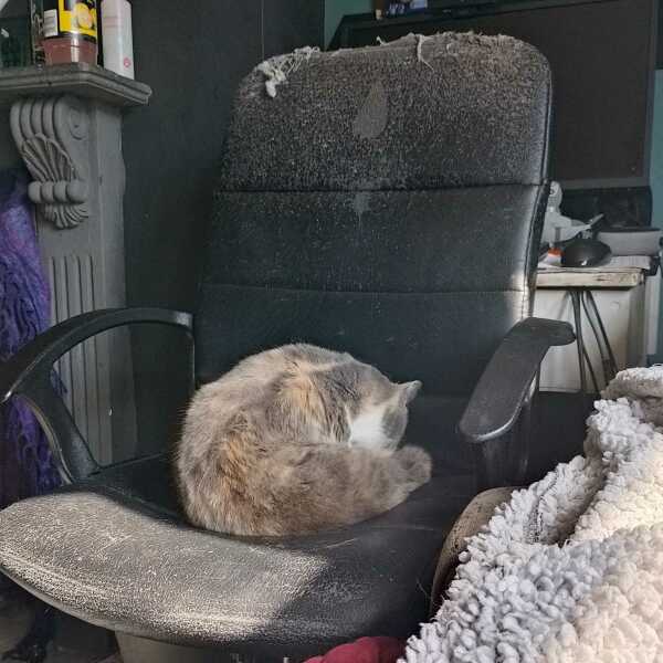 Hymns in Minor Keys & the Russian Easter Overture - the Excellent Cats ignore Culture.....