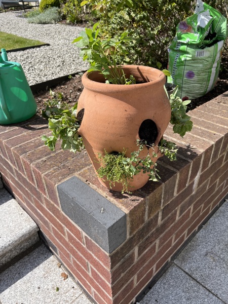 What have you done in the garden today? Part 6